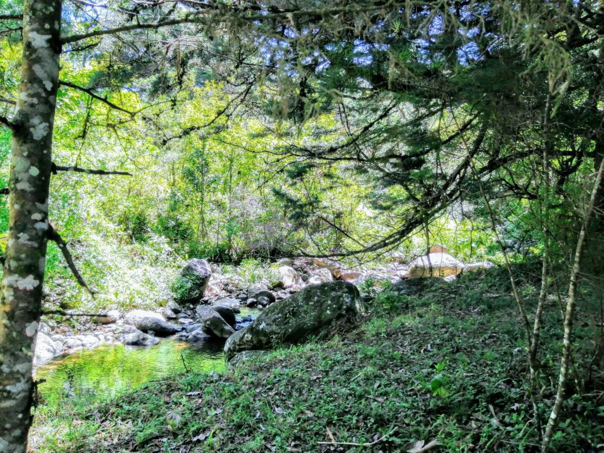 Cabana Treehouse Mountain View San Isidro  Dış mekan fotoğraf