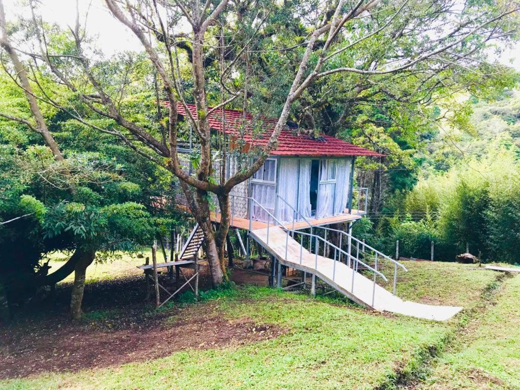 Cabana Treehouse Mountain View San Isidro  Dış mekan fotoğraf