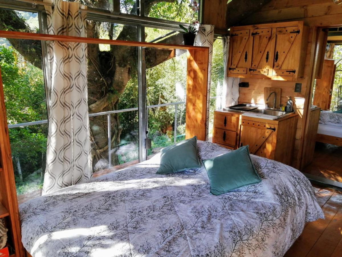 Cabana Treehouse Mountain View San Isidro  Dış mekan fotoğraf