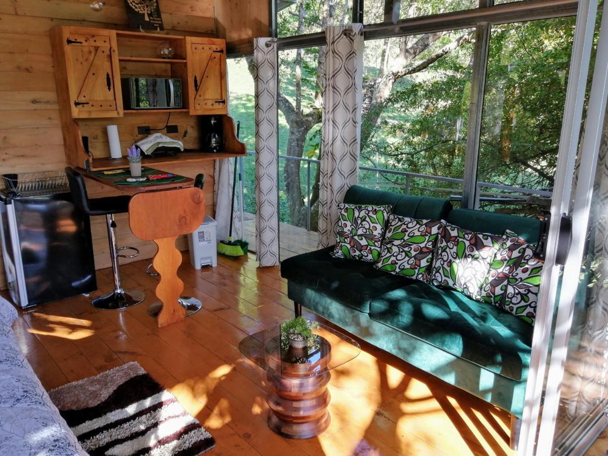 Cabana Treehouse Mountain View San Isidro  Dış mekan fotoğraf